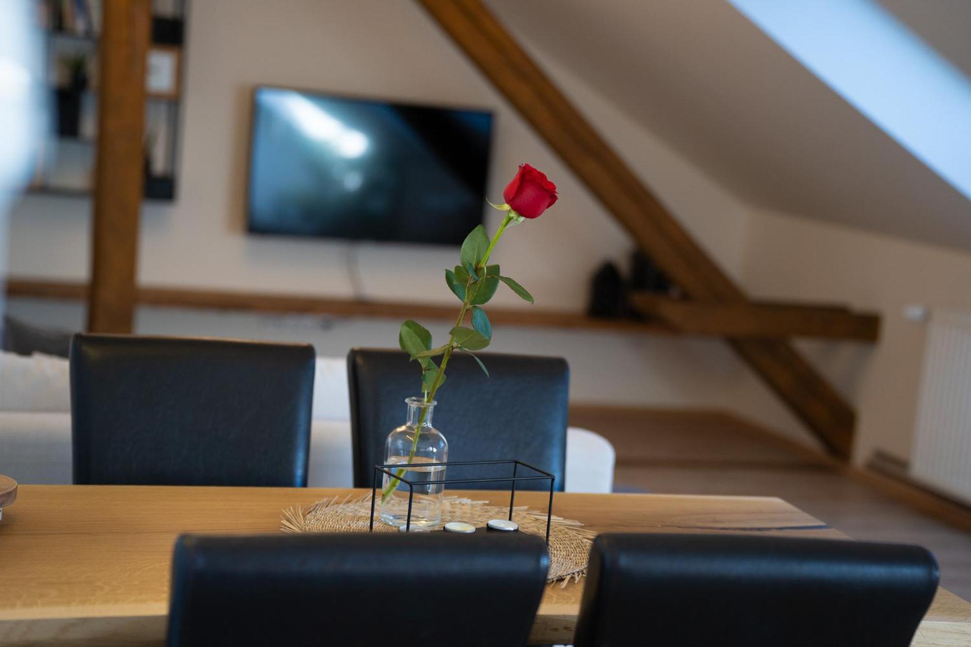 Jeseník Apartmany & Wellness Revenite מראה חיצוני תמונה